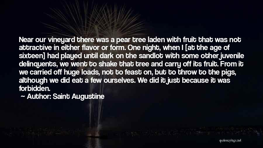 Saint Augustine Quotes: Near Our Vineyard There Was A Pear Tree Laden With Fruit That Was Not Attractive In Either Flavor Or Form.