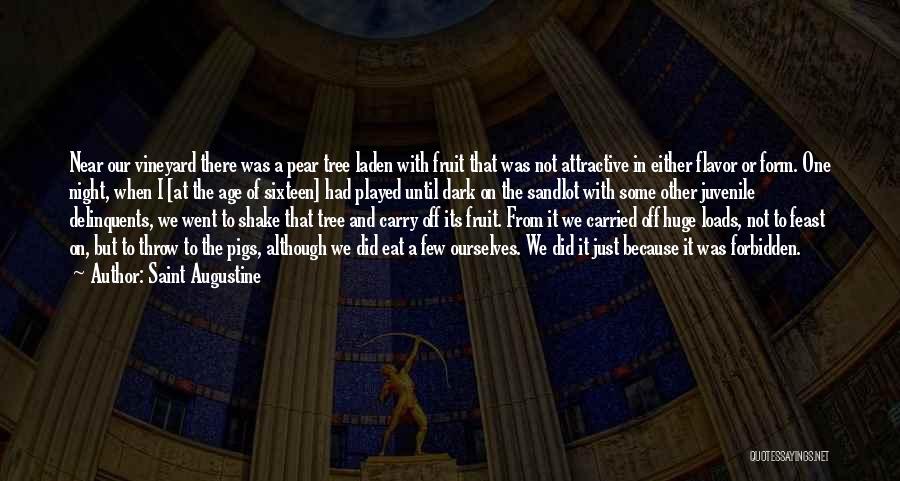 Saint Augustine Quotes: Near Our Vineyard There Was A Pear Tree Laden With Fruit That Was Not Attractive In Either Flavor Or Form.