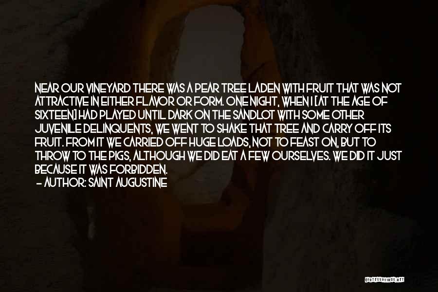 Saint Augustine Quotes: Near Our Vineyard There Was A Pear Tree Laden With Fruit That Was Not Attractive In Either Flavor Or Form.