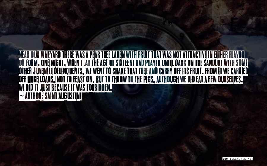 Saint Augustine Quotes: Near Our Vineyard There Was A Pear Tree Laden With Fruit That Was Not Attractive In Either Flavor Or Form.