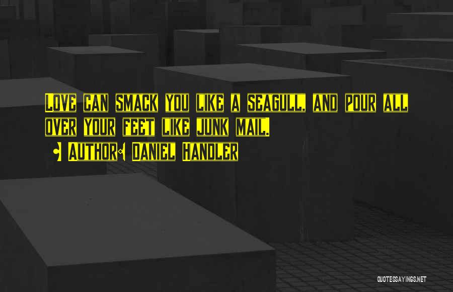 Daniel Handler Quotes: Love Can Smack You Like A Seagull, And Pour All Over Your Feet Like Junk Mail.