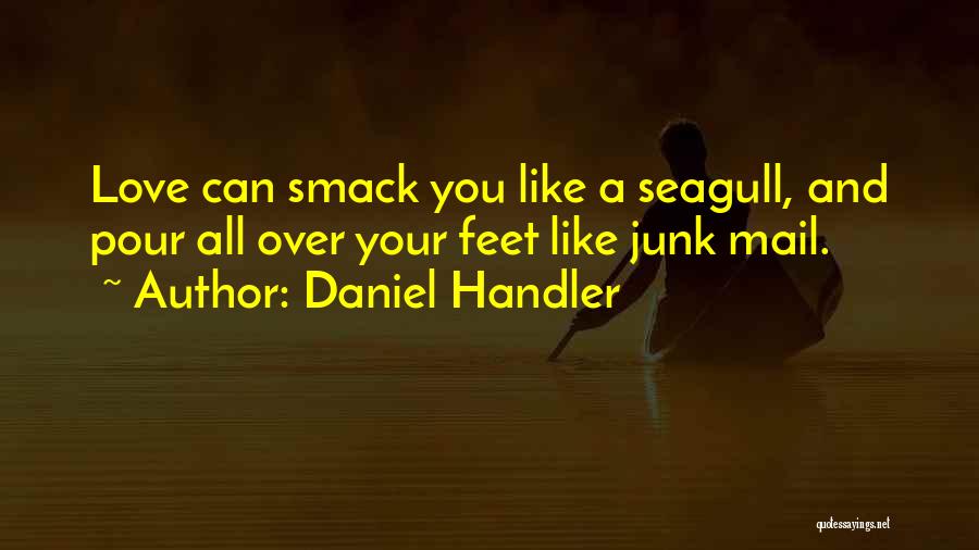 Daniel Handler Quotes: Love Can Smack You Like A Seagull, And Pour All Over Your Feet Like Junk Mail.