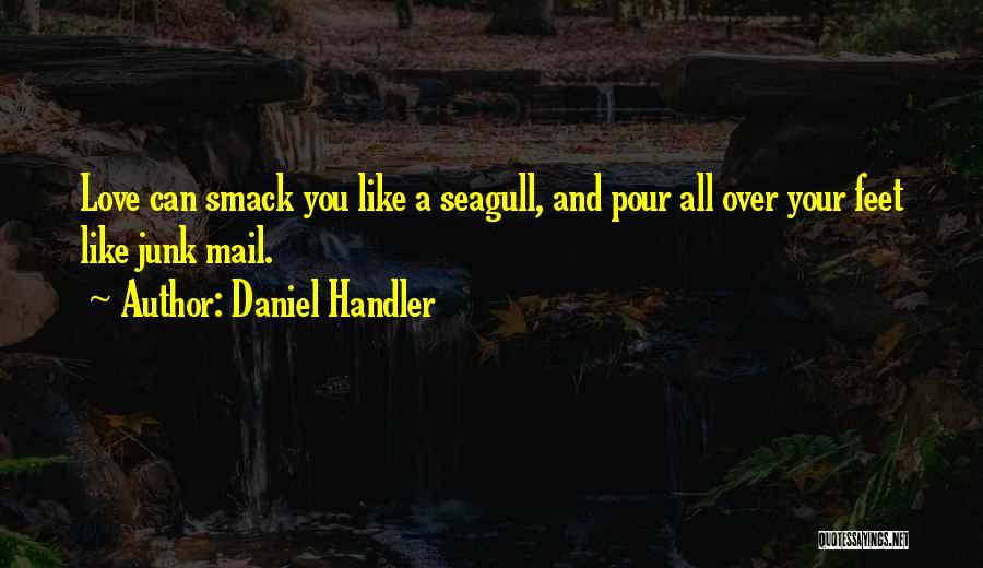 Daniel Handler Quotes: Love Can Smack You Like A Seagull, And Pour All Over Your Feet Like Junk Mail.