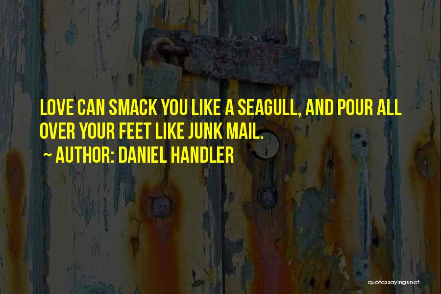 Daniel Handler Quotes: Love Can Smack You Like A Seagull, And Pour All Over Your Feet Like Junk Mail.