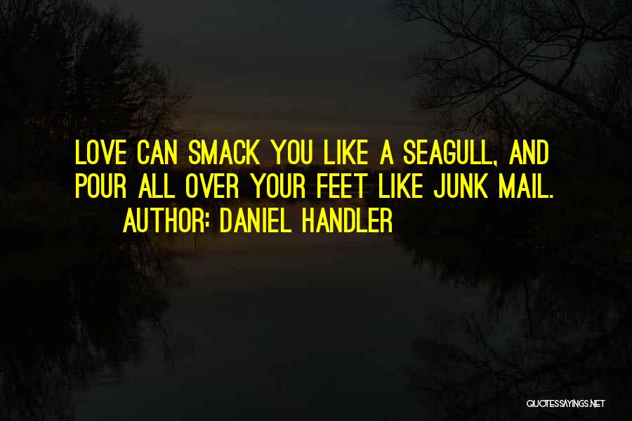 Daniel Handler Quotes: Love Can Smack You Like A Seagull, And Pour All Over Your Feet Like Junk Mail.