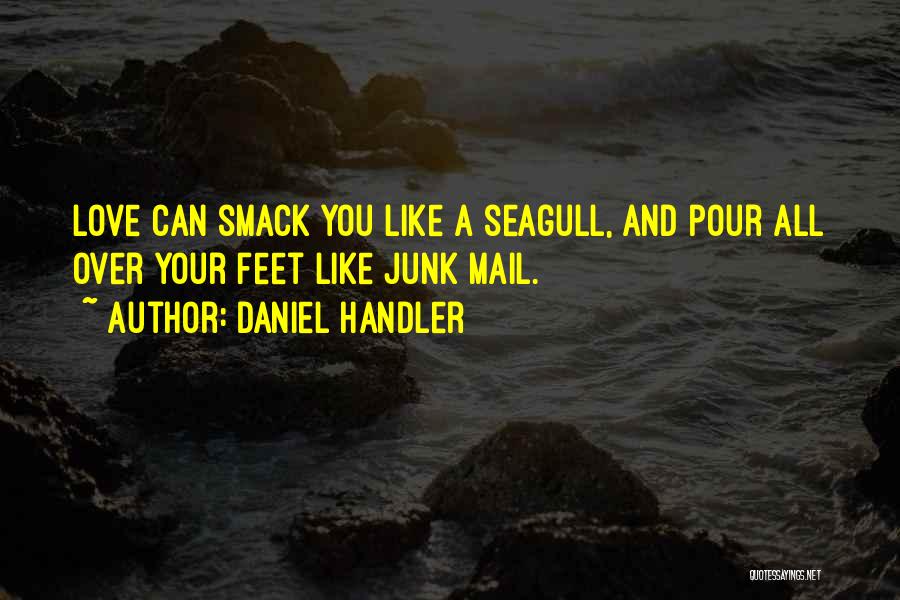 Daniel Handler Quotes: Love Can Smack You Like A Seagull, And Pour All Over Your Feet Like Junk Mail.