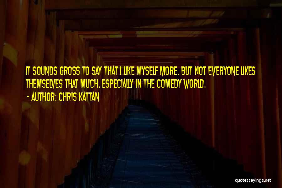 Chris Kattan Quotes: It Sounds Gross To Say That I Like Myself More. But Not Everyone Likes Themselves That Much. Especially In The
