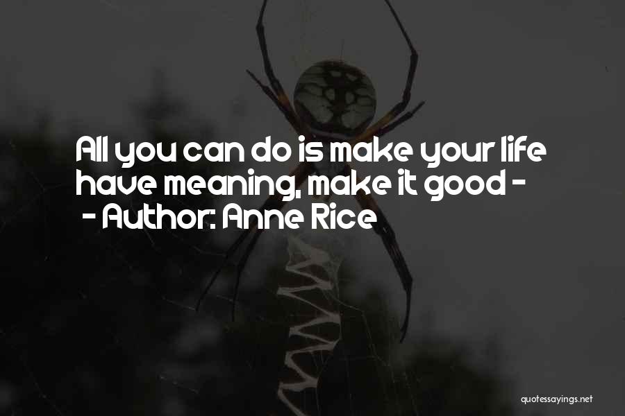 Anne Rice Quotes: All You Can Do Is Make Your Life Have Meaning, Make It Good -