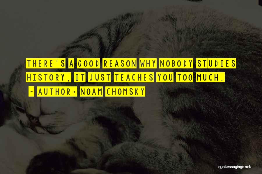 Noam Chomsky Quotes: There's A Good Reason Why Nobody Studies History, It Just Teaches You Too Much.