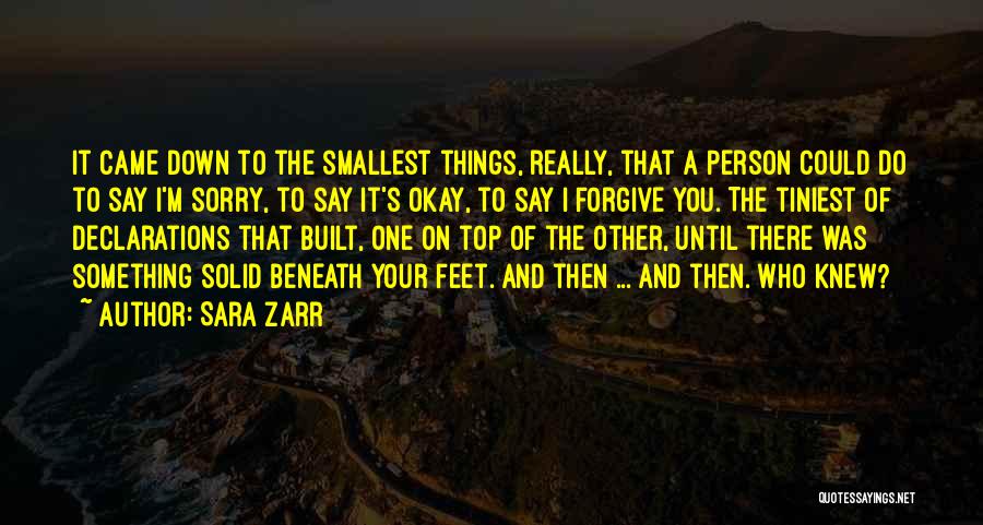 Sara Zarr Quotes: It Came Down To The Smallest Things, Really, That A Person Could Do To Say I'm Sorry, To Say It's