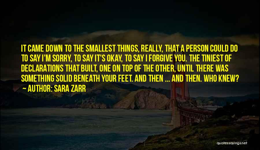 Sara Zarr Quotes: It Came Down To The Smallest Things, Really, That A Person Could Do To Say I'm Sorry, To Say It's