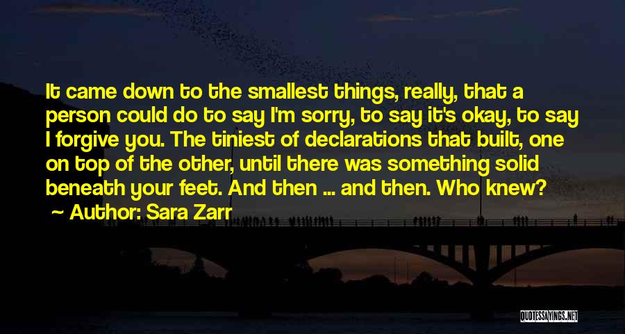 Sara Zarr Quotes: It Came Down To The Smallest Things, Really, That A Person Could Do To Say I'm Sorry, To Say It's