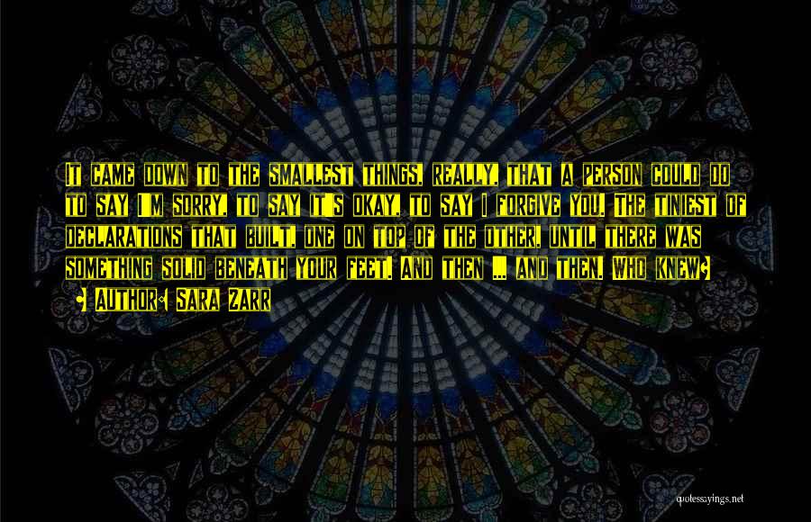 Sara Zarr Quotes: It Came Down To The Smallest Things, Really, That A Person Could Do To Say I'm Sorry, To Say It's