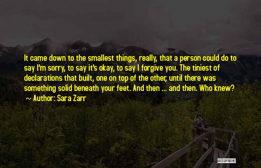 Sara Zarr Quotes: It Came Down To The Smallest Things, Really, That A Person Could Do To Say I'm Sorry, To Say It's