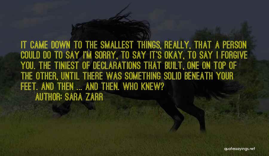 Sara Zarr Quotes: It Came Down To The Smallest Things, Really, That A Person Could Do To Say I'm Sorry, To Say It's