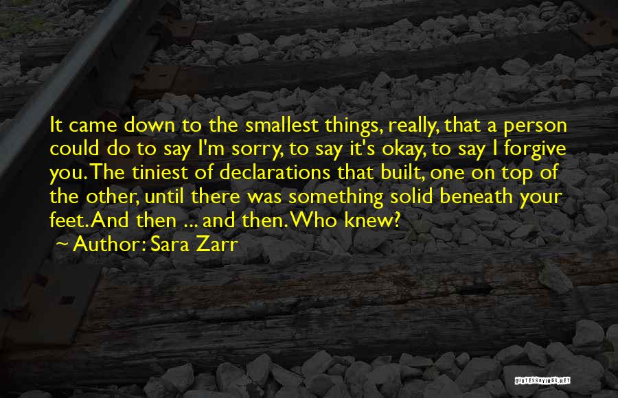 Sara Zarr Quotes: It Came Down To The Smallest Things, Really, That A Person Could Do To Say I'm Sorry, To Say It's