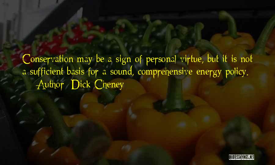 Dick Cheney Quotes: Conservation May Be A Sign Of Personal Virtue, But It Is Not A Sufficient Basis For A Sound, Comprehensive Energy