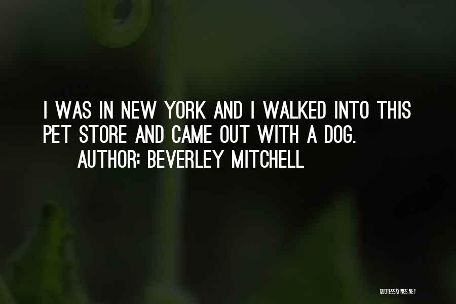 Beverley Mitchell Quotes: I Was In New York And I Walked Into This Pet Store And Came Out With A Dog.