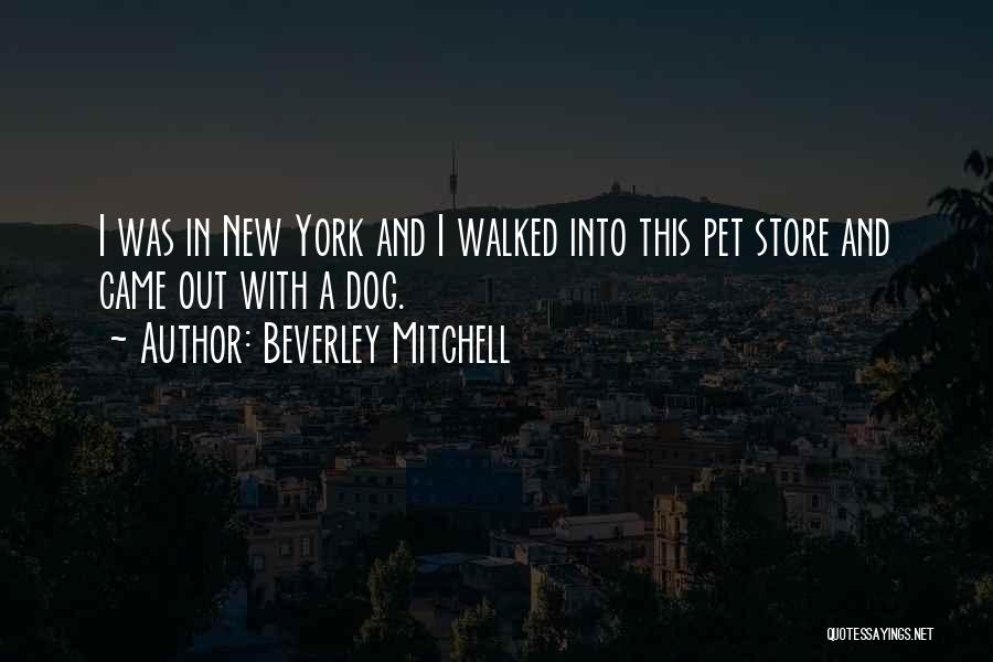 Beverley Mitchell Quotes: I Was In New York And I Walked Into This Pet Store And Came Out With A Dog.