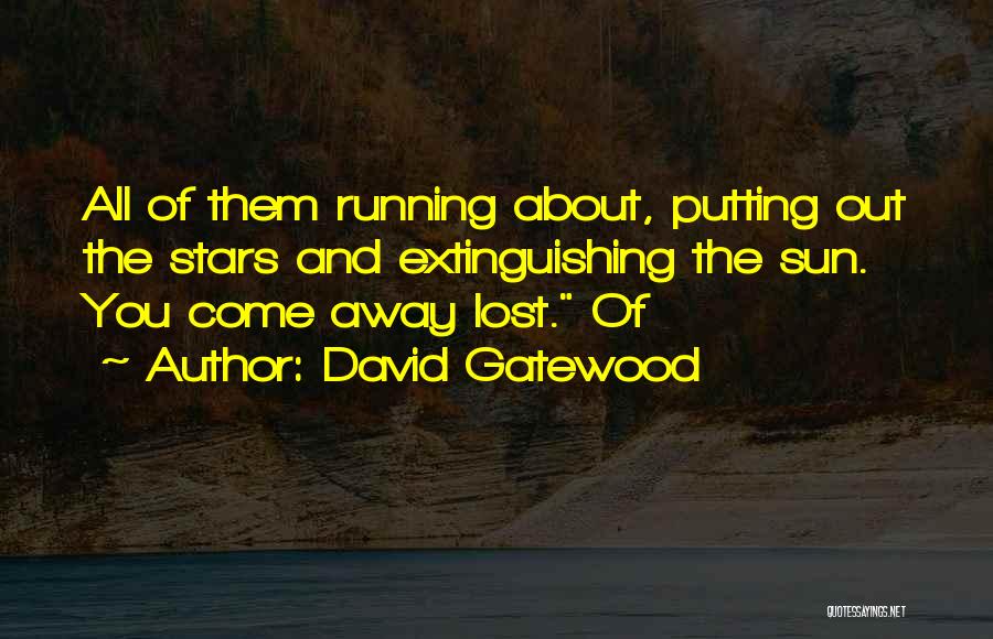 David Gatewood Quotes: All Of Them Running About, Putting Out The Stars And Extinguishing The Sun. You Come Away Lost. Of