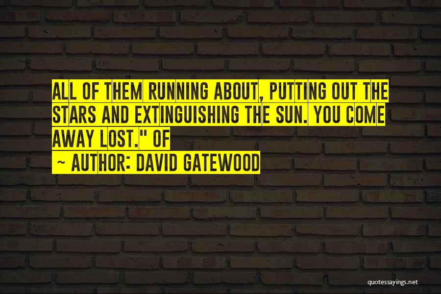 David Gatewood Quotes: All Of Them Running About, Putting Out The Stars And Extinguishing The Sun. You Come Away Lost. Of