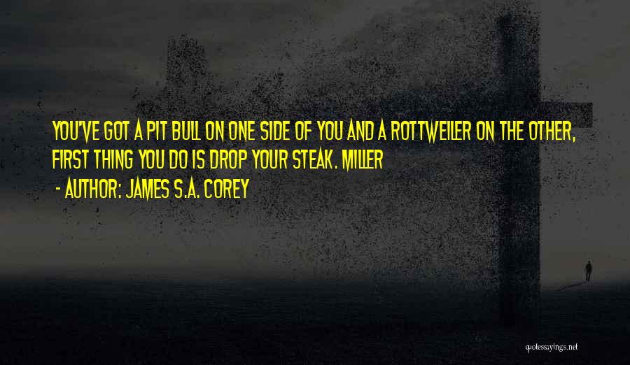 James S.A. Corey Quotes: You've Got A Pit Bull On One Side Of You And A Rottweiler On The Other, First Thing You Do