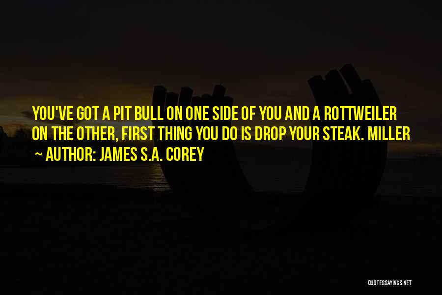 James S.A. Corey Quotes: You've Got A Pit Bull On One Side Of You And A Rottweiler On The Other, First Thing You Do