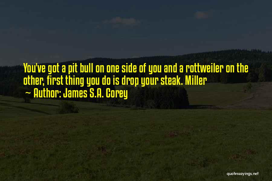 James S.A. Corey Quotes: You've Got A Pit Bull On One Side Of You And A Rottweiler On The Other, First Thing You Do