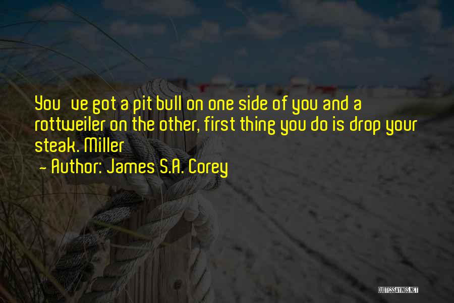 James S.A. Corey Quotes: You've Got A Pit Bull On One Side Of You And A Rottweiler On The Other, First Thing You Do