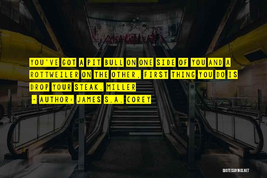 James S.A. Corey Quotes: You've Got A Pit Bull On One Side Of You And A Rottweiler On The Other, First Thing You Do