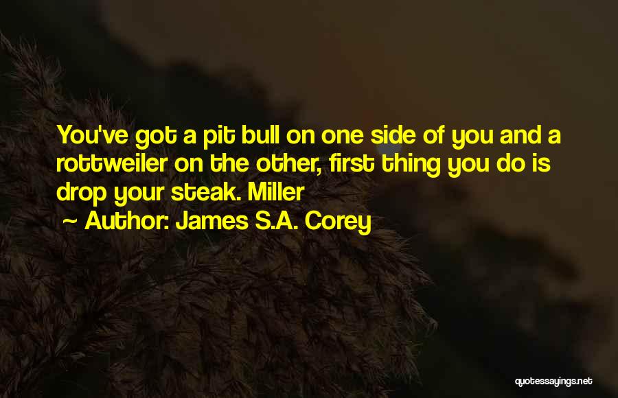 James S.A. Corey Quotes: You've Got A Pit Bull On One Side Of You And A Rottweiler On The Other, First Thing You Do