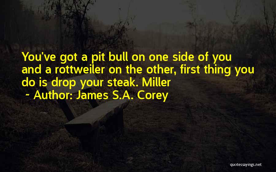 James S.A. Corey Quotes: You've Got A Pit Bull On One Side Of You And A Rottweiler On The Other, First Thing You Do