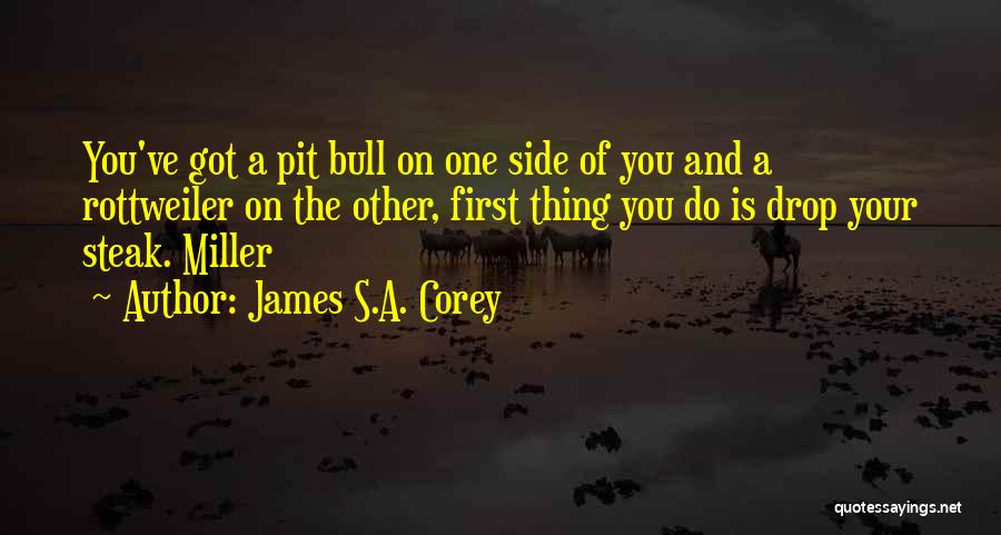 James S.A. Corey Quotes: You've Got A Pit Bull On One Side Of You And A Rottweiler On The Other, First Thing You Do