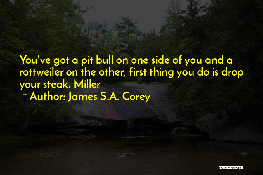 James S.A. Corey Quotes: You've Got A Pit Bull On One Side Of You And A Rottweiler On The Other, First Thing You Do