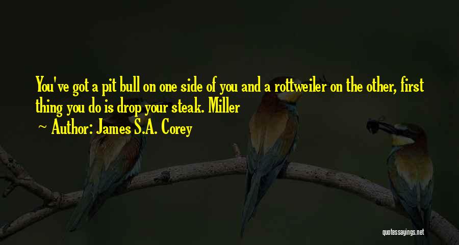 James S.A. Corey Quotes: You've Got A Pit Bull On One Side Of You And A Rottweiler On The Other, First Thing You Do