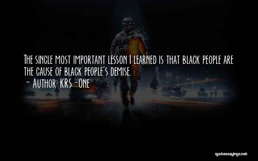 KRS-One Quotes: The Single Most Important Lesson I Learned Is That Black People Are The Cause Of Black People's Demise.