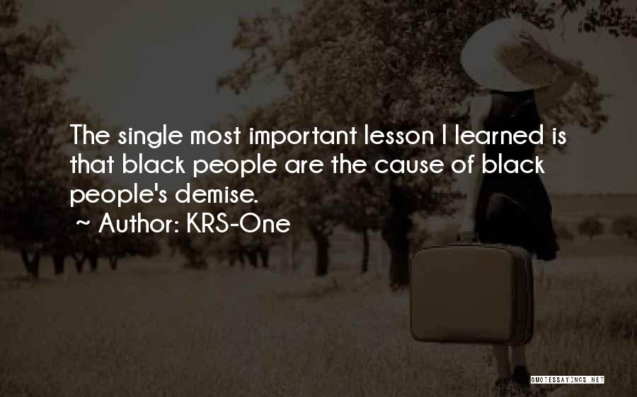 KRS-One Quotes: The Single Most Important Lesson I Learned Is That Black People Are The Cause Of Black People's Demise.