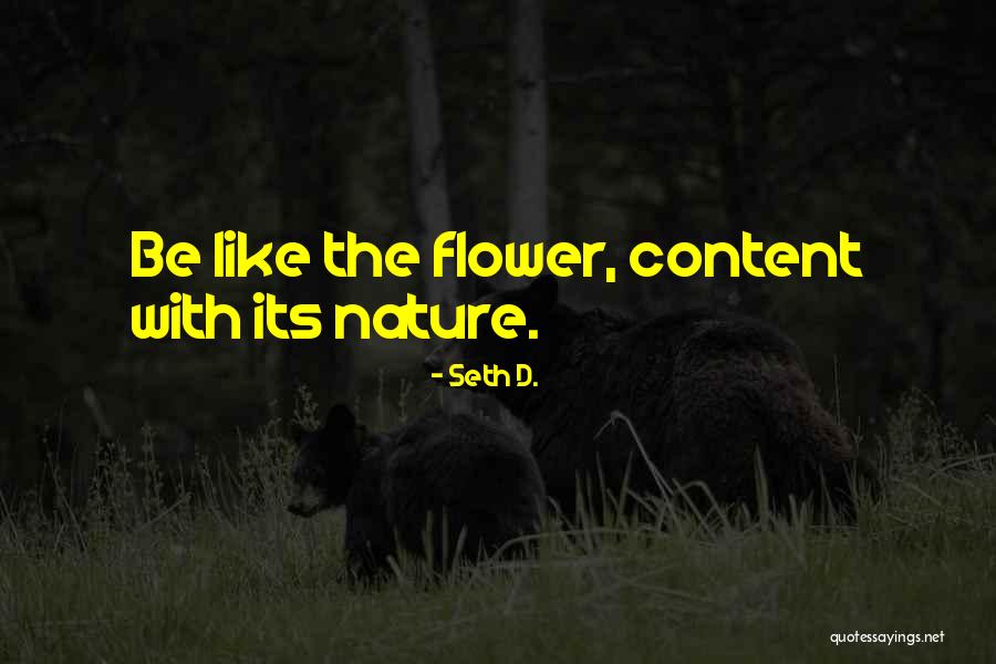 24 7 Book Quotes By Seth D. 24 7 Book Quotes By Seth D.
