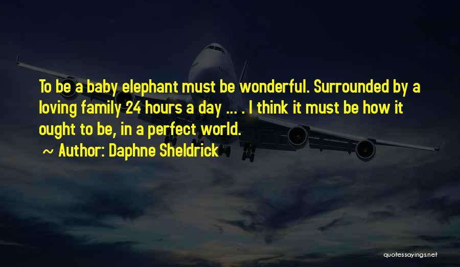 24 Hours In A&e Quotes By Daphne Sheldrick