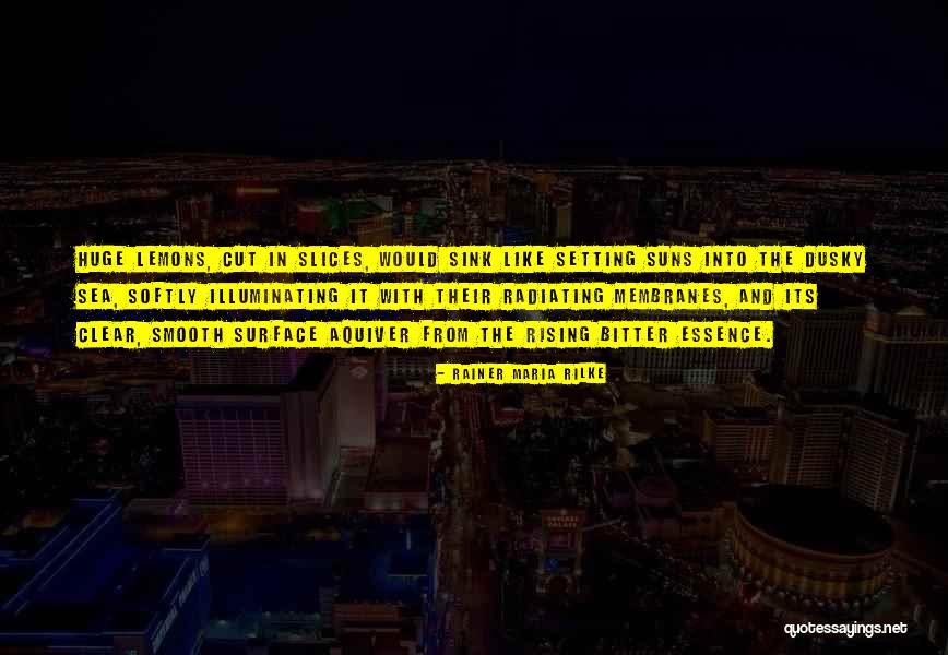 24 Hours Insurance Quotes By Rainer Maria Rilke 24 Hours Insurance Quotes By Rainer Maria Rilke