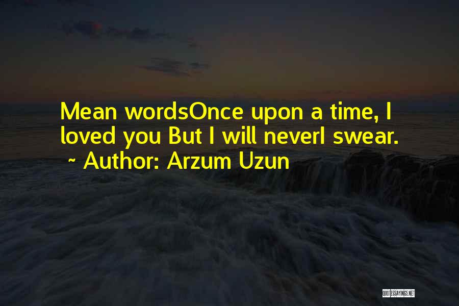 Arzum Uzun Quotes: Mean Wordsonce Upon A Time, I Loved You But I Will Neveri Swear.