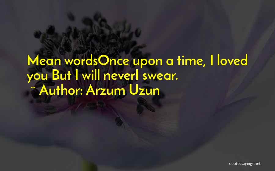 Arzum Uzun Quotes: Mean Wordsonce Upon A Time, I Loved You But I Will Neveri Swear.