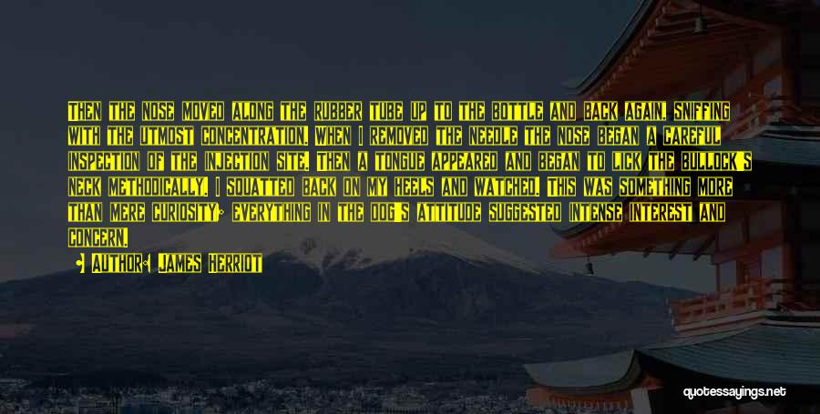 James Herriot Quotes: Then The Nose Moved Along The Rubber Tube Up To The Bottle And Back Again, Sniffing With The Utmost Concentration.
