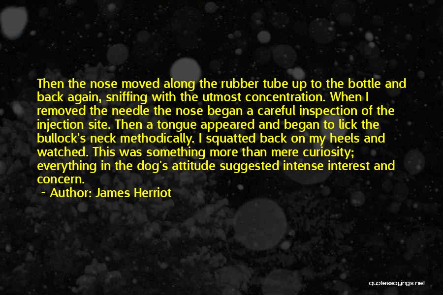 James Herriot Quotes: Then The Nose Moved Along The Rubber Tube Up To The Bottle And Back Again, Sniffing With The Utmost Concentration.