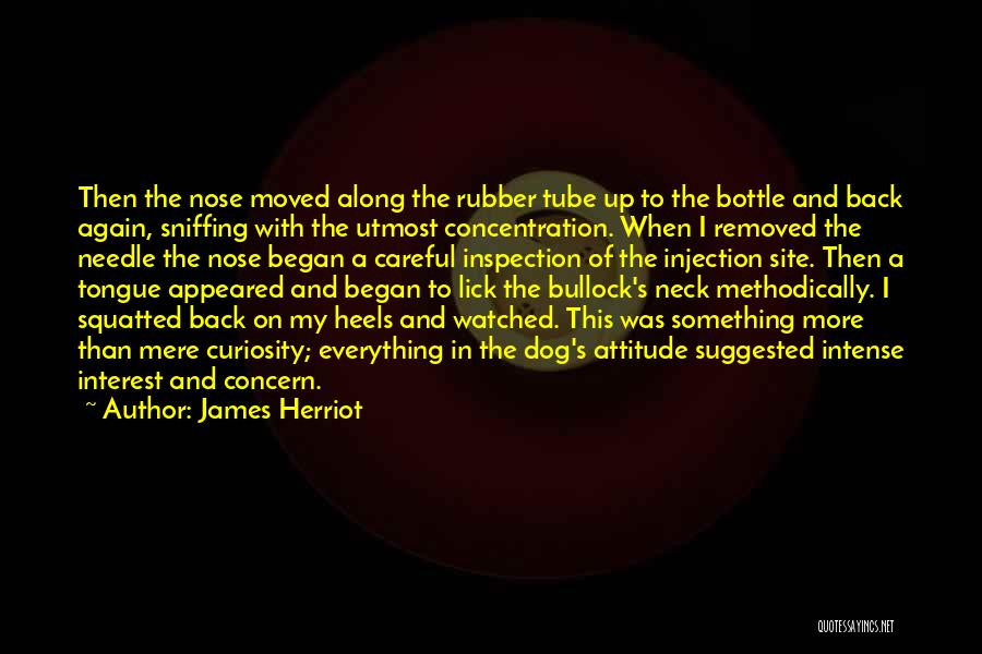 James Herriot Quotes: Then The Nose Moved Along The Rubber Tube Up To The Bottle And Back Again, Sniffing With The Utmost Concentration.