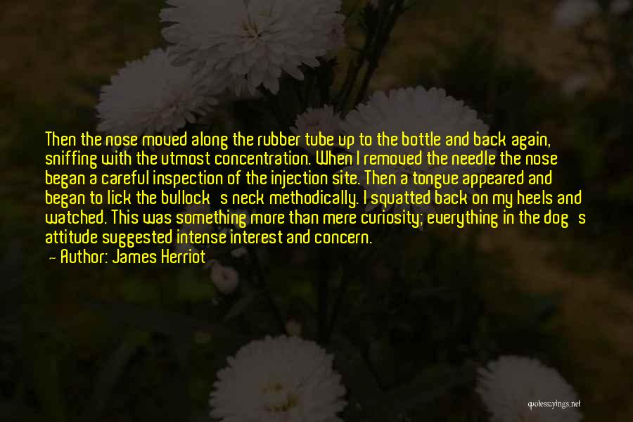 James Herriot Quotes: Then The Nose Moved Along The Rubber Tube Up To The Bottle And Back Again, Sniffing With The Utmost Concentration.