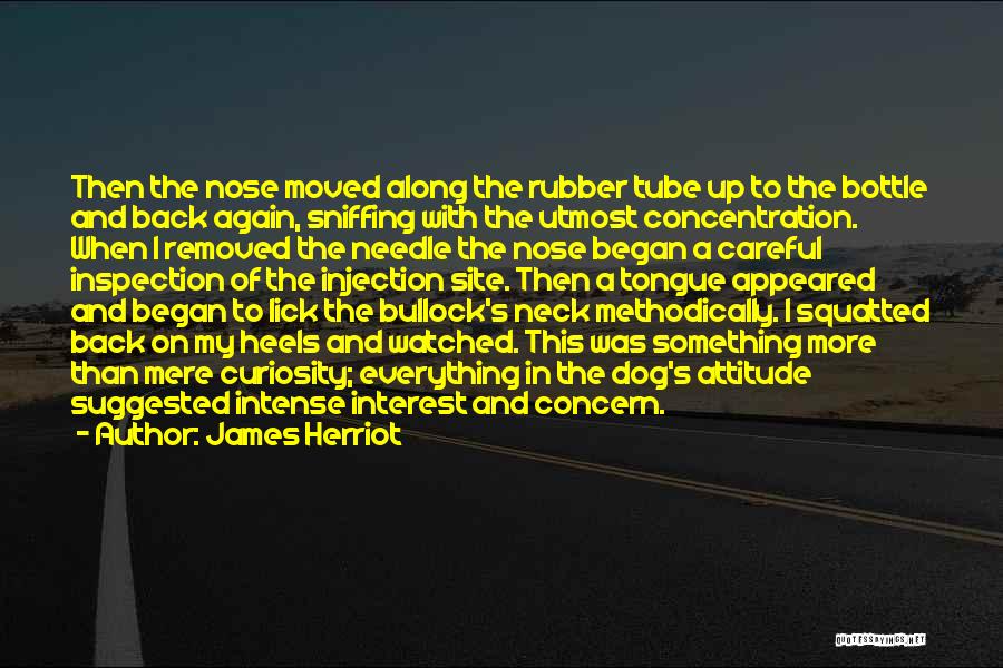 James Herriot Quotes: Then The Nose Moved Along The Rubber Tube Up To The Bottle And Back Again, Sniffing With The Utmost Concentration.