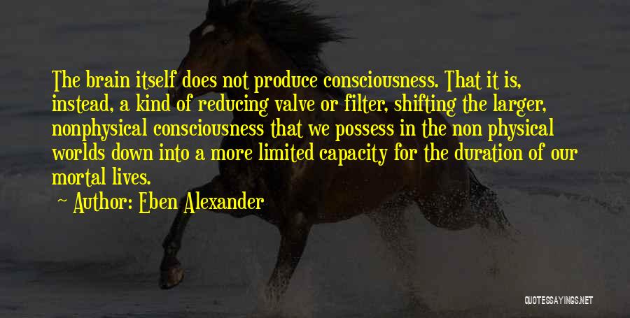 Eben Alexander Quotes: The Brain Itself Does Not Produce Consciousness. That It Is, Instead, A Kind Of Reducing Valve Or Filter, Shifting The