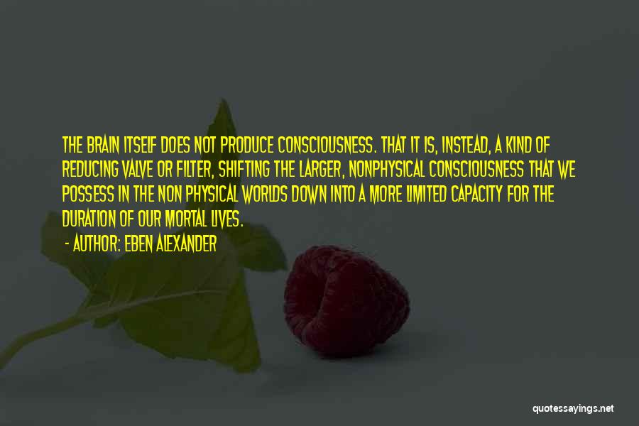 Eben Alexander Quotes: The Brain Itself Does Not Produce Consciousness. That It Is, Instead, A Kind Of Reducing Valve Or Filter, Shifting The