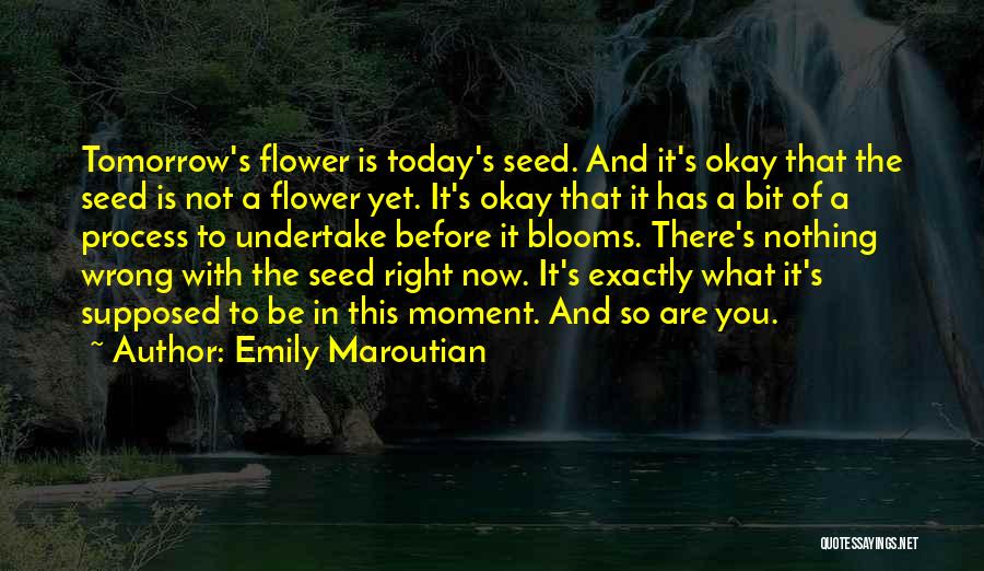 Emily Maroutian Quotes: Tomorrow's Flower Is Today's Seed. And It's Okay That The Seed Is Not A Flower Yet. It's Okay That It